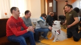 Obrazek dla news_239